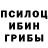 Псилоцибиновые грибы Magic Shrooms Hesher 8O