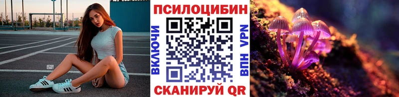 Галлюциногенные грибы Cubensis  Шадринск 
